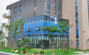 解決安徽某印刷科技有限公司普通旋振篩糊網(wǎng)無法篩分的問題