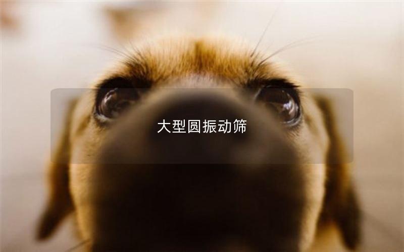 大型圓振動篩 大型圓振動篩