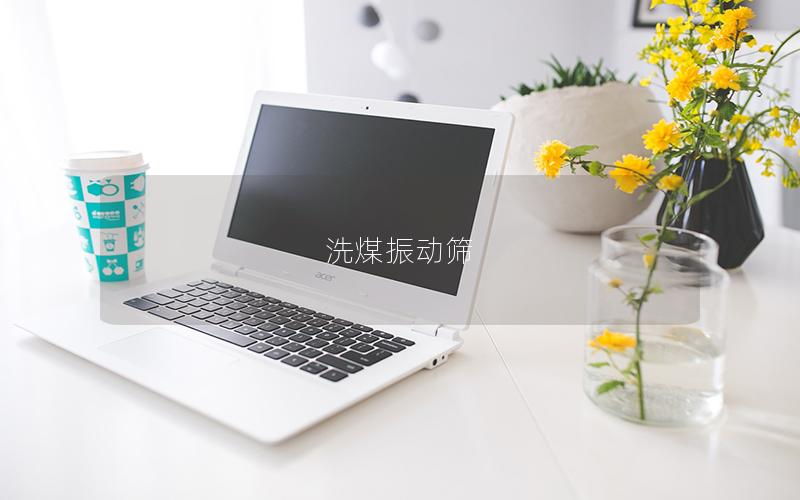 洗煤振動篩 洗煤振動篩