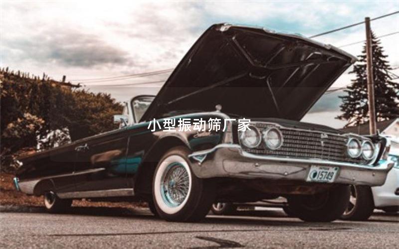 小型振動篩廠家 小型振動篩廠家